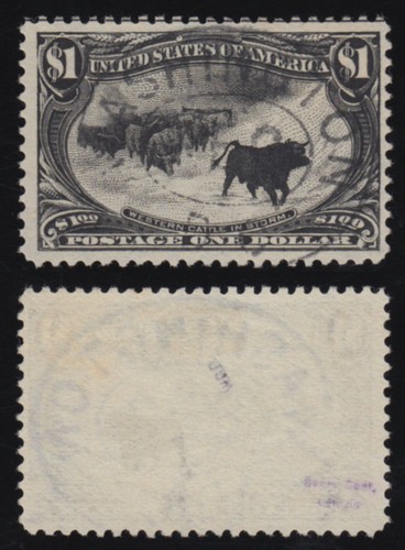 Usa 1898 bovini nella - 1898,