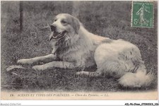 AILP6-0574 - CANE - Cane Dei