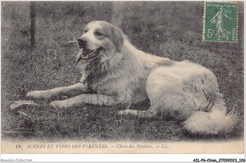 Ailp6 0574 cane - -,