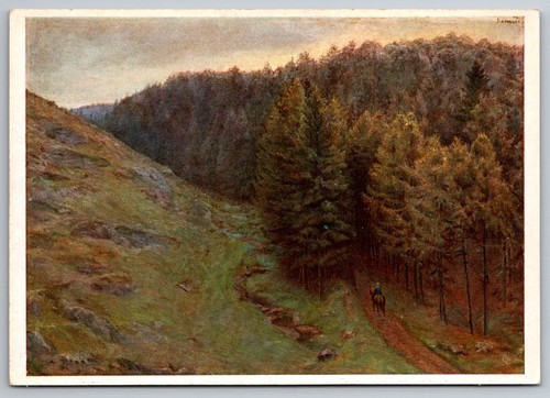 Cartolina paesaggio forestale - paesaggio,