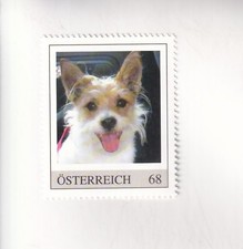 FRANCOBOLLO PM Austria CANI