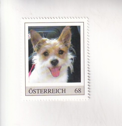 Francobollo austria cani - pm,