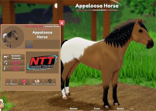 Wild horse islands - horse, buckskin