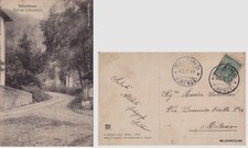 # VALLOMBROSA: VIALE PER IL PARADISINO   1911