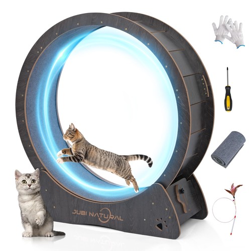 Ruota esercizio gatto - ruota,