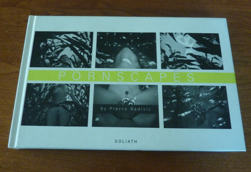 Pornscapes 2006 pierre - ,