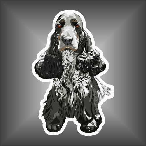 Adesivo cocker spaniel inglese - adesivo,
