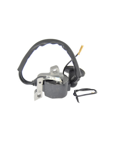 Sthil bobina elettronica - sthil,