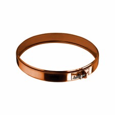 FASCETTA DI BLOCCAGGIO CANNA