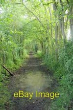 Photo 6x4 Bridleway to Bloom's Farm Delvin End A verdant tunnel and puggy c2014