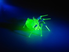 Statuina ragno vetro uranio