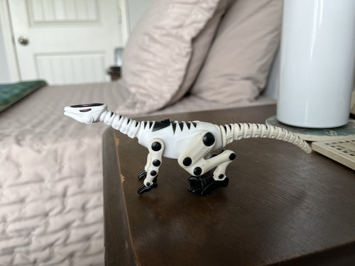 Roboraptor dinosauro robotico
