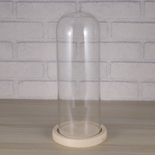 Base legno vetro campana - legno,