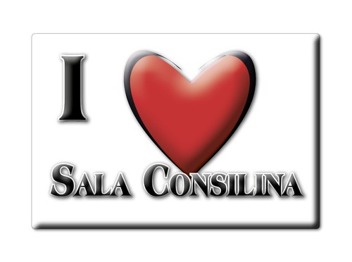 Calamita sala consilina - (sa),