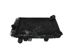 Radiatore acqua sinistro HONDA