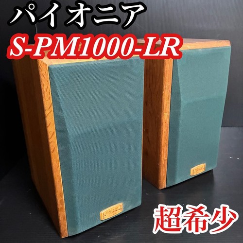 Pioneer pm1000 pure - pure, malt