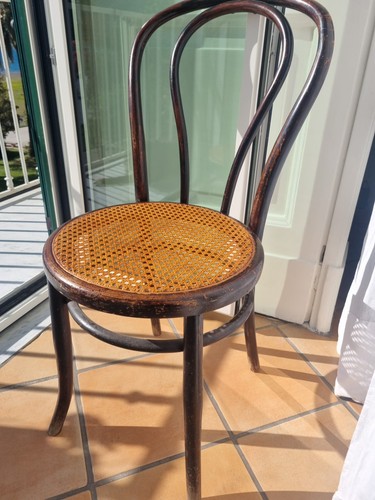 Sedia mundus tipo thonet legno - tipo,
