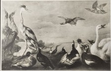 Antica stampa del 1910 (1900