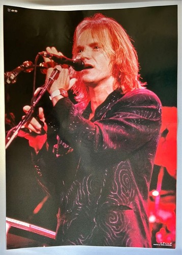 Sting vintage 1989 giappone - sting/vintage,