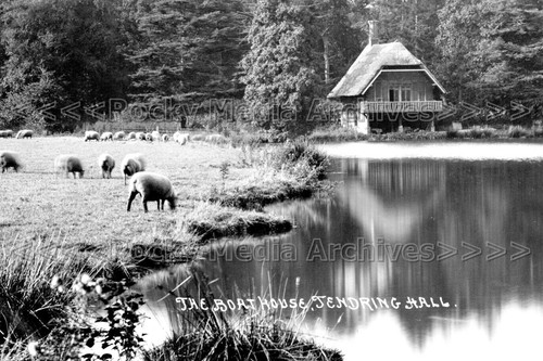 Ouu sheep grazing - sheep, boat