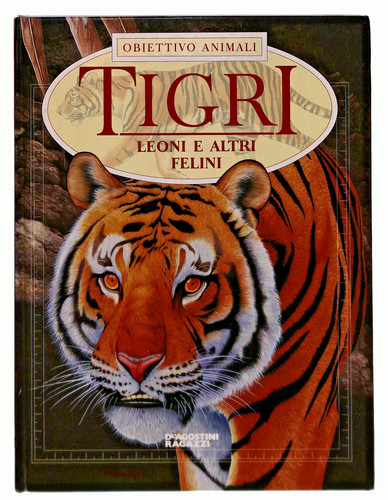 Ebond tigri obiettivo animali - obiettivo,