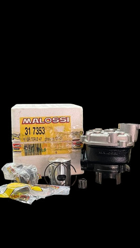 317353 gruppo termico malossi - gruppo,