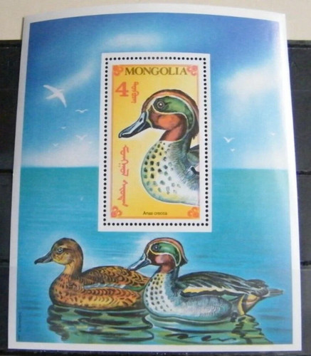Mz97 mongolia 1991 anas - 1991, crecca
