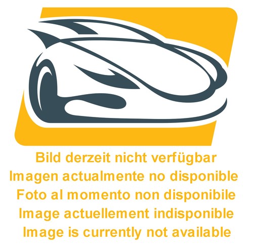 Modanatura griglia paraurti - griglia,