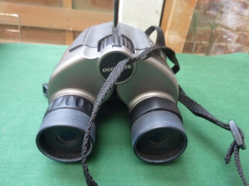 Olympus 25 zoom - 25, pc