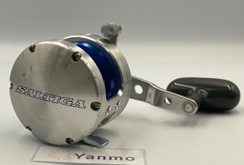 Daiwa saltiga z20 - daiwa, manico