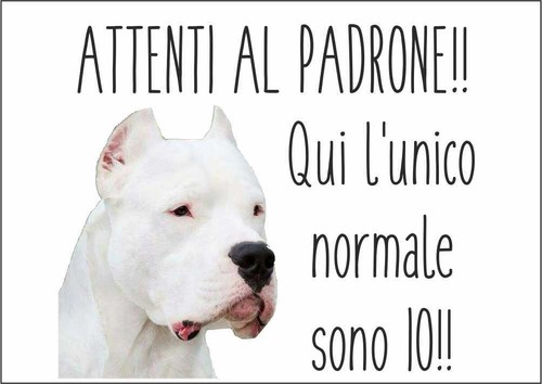 Cartello segnaletico dogo - segnaletico,