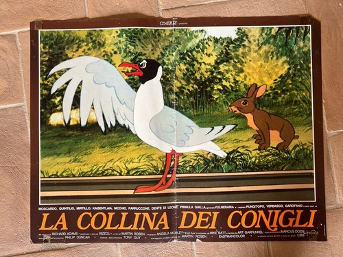 Fotobusta collina dei - fotobusta,