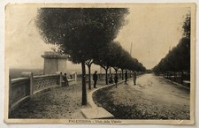 Cartolina Palestrina viale