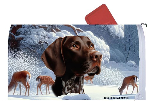 Copertina cassetta postale