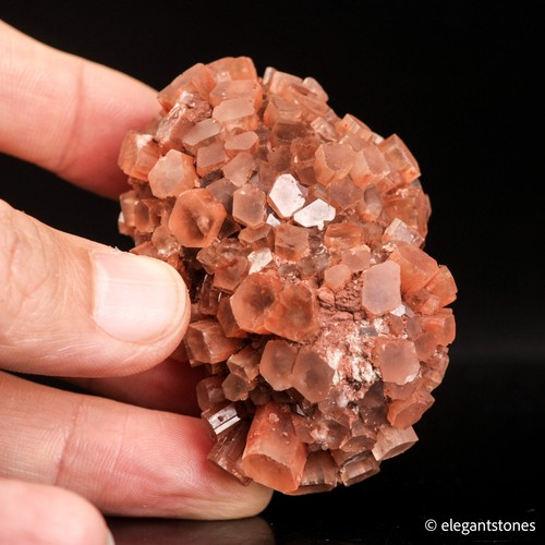 Espositore esemplare minerale