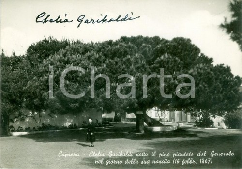 1935 caprera clelia - 1935,