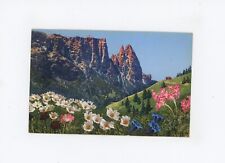 Cartolina - Genziana - Gentiana acaulis -CF111