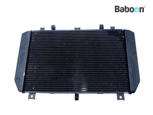 Radiator kawasaki 1000 - radiator,