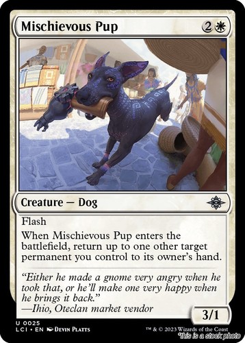 Mischievous pup mtg - mtg, caverne