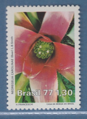 Brasile 1977 protezione - brasile,