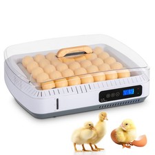 Smart digital eggs - 35,