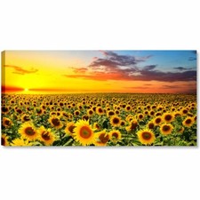 Campo di Girasoli 90x45 Quadro