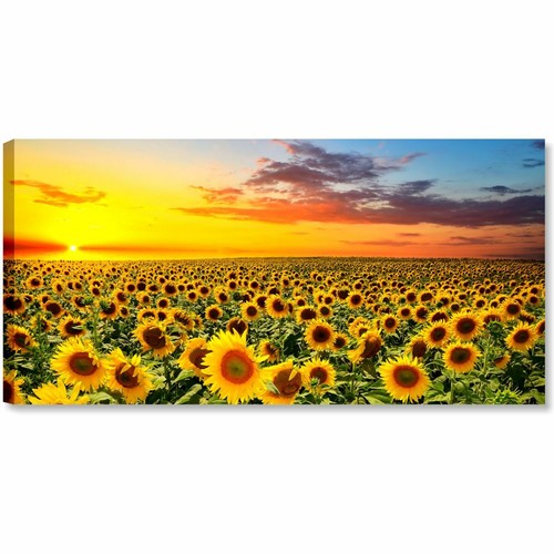 Campo girasoli 90x45 - di, quadro