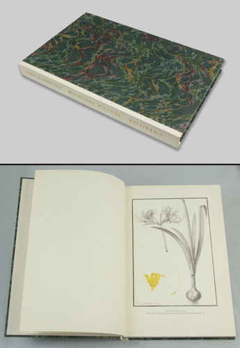 Botany heritier facsimile - l'heritier,