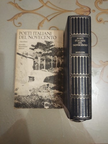 Poeti italiani del novecento - poeti,