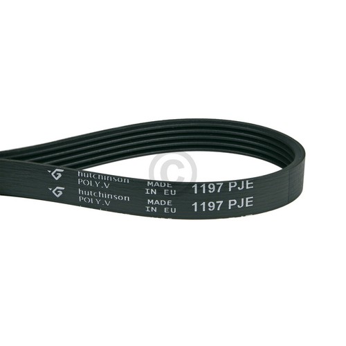 Cinghia come siltal 36060900 - cinghia,