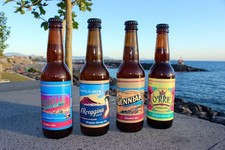 Birra - Da 33cl - Artigianale Napoletana - Gluten Free