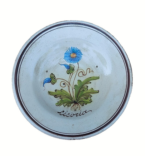 Piatto ceramica cicoria - ceramica, roma