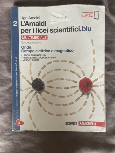 Amaldi per licei - l'amaldi, i