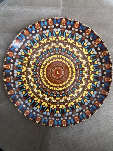 Piatto damien hirst stampa - hirst,